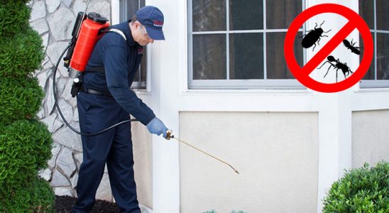 Köse Fare İlaçlama böcek ilaçlama ve haşere kontrolü — ilaclama-tr.com